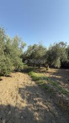 Finca rstica en Alhabia. Terrenos en venta en alhabia