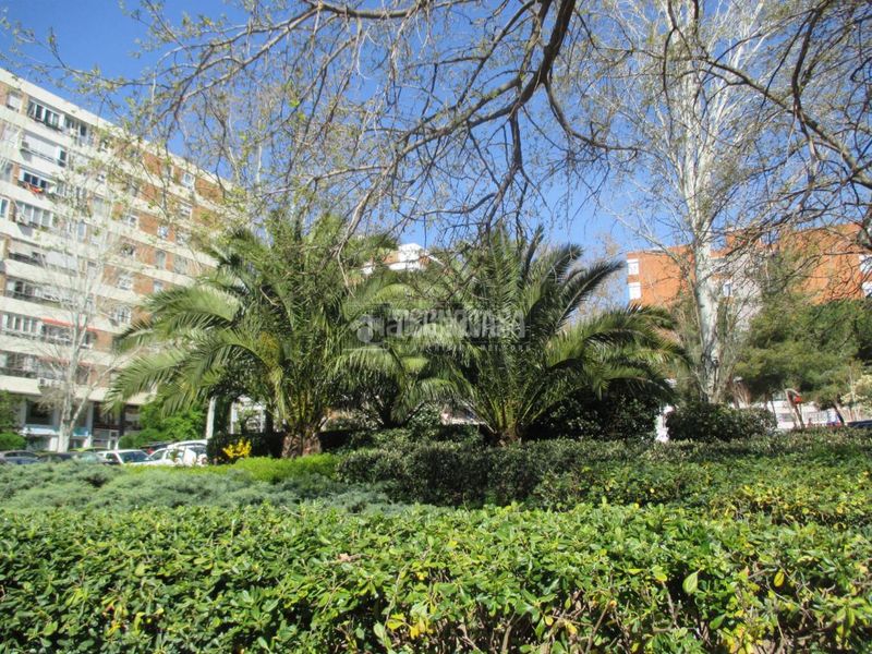 Foto a5bb2602-78dd-4a24-983e-58ba48cd5be9. Local comercial amb calefacció a Peñagrande Madrid