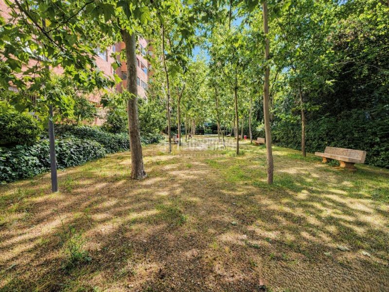 Foto 8e7b3283-a160-4491-81fc-4b549be5aa39. Piso  en venta en Peñagrande Madrid