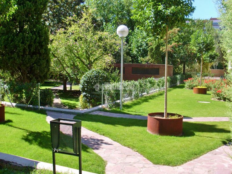 Foto 2da5cc61-21a0-4100-b725-b690d8549189. Pis amb calefacció piscina a Pilar Madrid