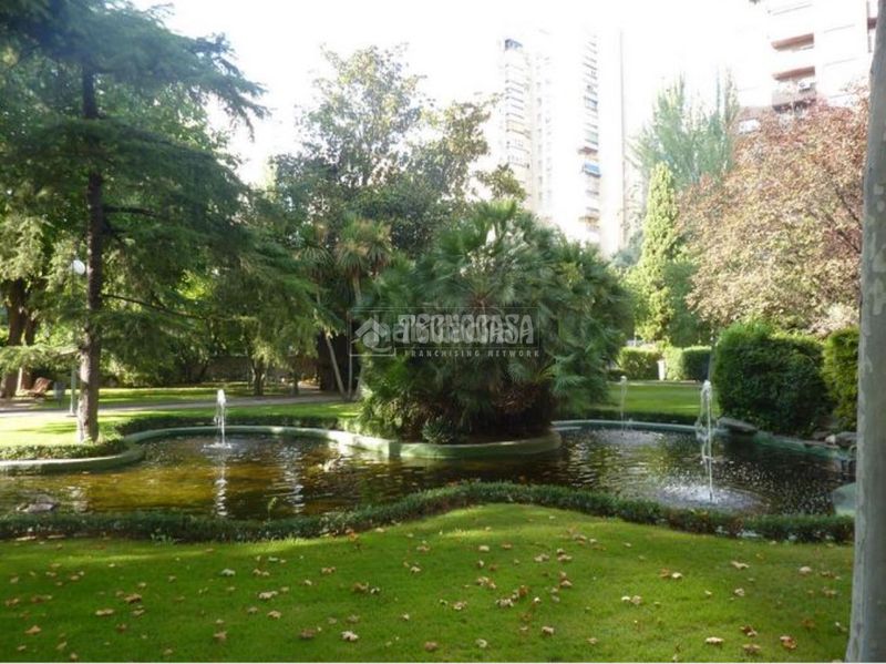 Foto 50cecc44-1588-44a6-bd1c-5997c9f84dd4. Pis amb calefacció piscina a Pilar Madrid