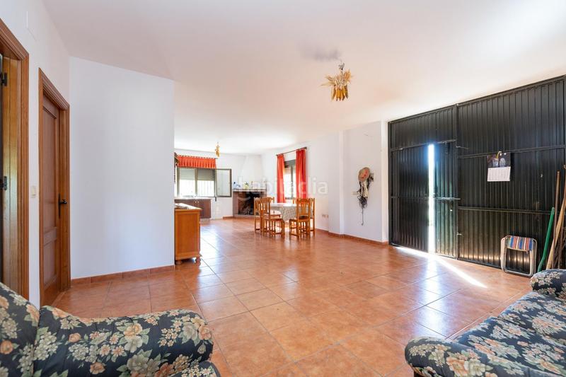 Foto 48c5dd00-0007-4dd9-98e8-6399fe28830a. Finca rústica parcela rústica de 3.700 m con casa, piscina y árboles frutales en alcudia de guadix en Valle del Zalabí