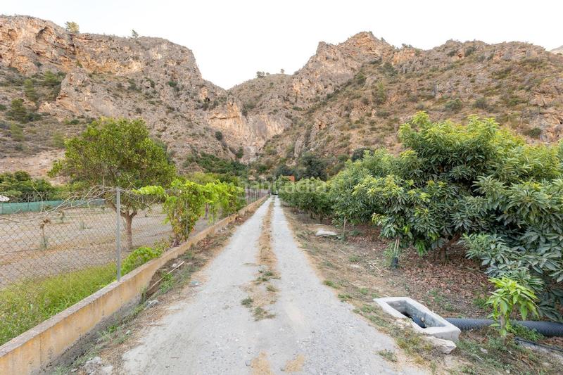 Foto a0dacb1c-8f79-43b8-b229-ff9f6811af3b. Finca rústica finca de aguacates en velez de benaudalla en Vélez de Benaudalla