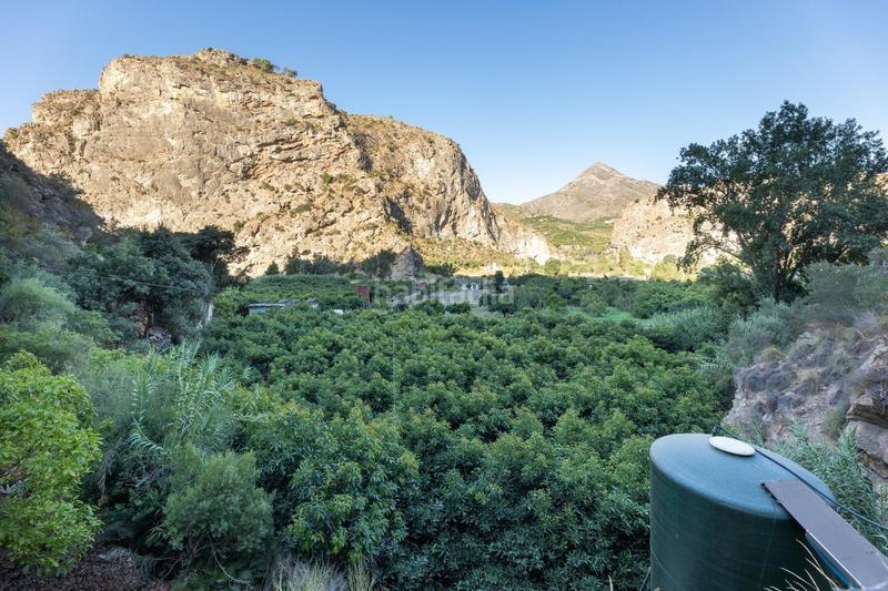 Foto bc8737a7-6702-444c-bd1d-8a5e62a8af9a. Finca rústica finca de aguacates en velez de benaudalla en Vélez de Benaudalla