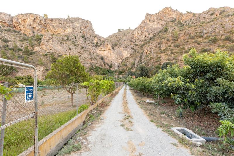 Foto fb367d42-23b7-445b-80a2-0d1330780109. Finca rústica finca de aguacates en velez de benaudalla en Vélez de Benaudalla