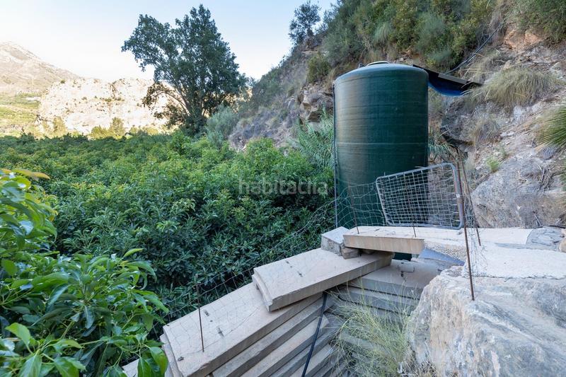 Foto fbcb7bc0-d591-48ed-89c4-2e563352e012. Finca rústica finca de aguacates en velez de benaudalla en Vélez de Benaudalla
