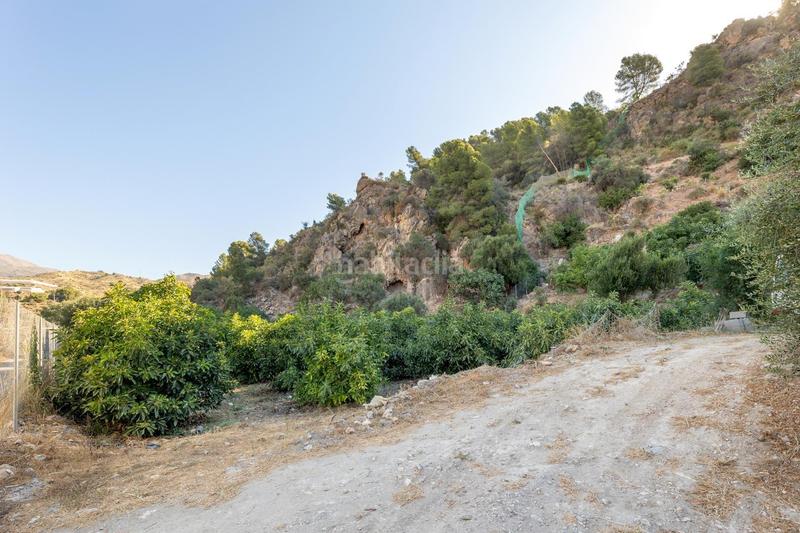 Foto a63e2ead-4c38-4803-b986-0174ef3a7b32. Finca rústica paraiso tropical en velez de benaudalla en Vélez de Benaudalla