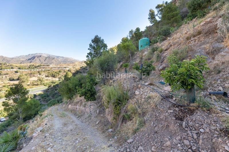 Foto c5a40e5f-b188-4e5d-8373-aded014c4638. Finca rústica paraiso tropical en velez de benaudalla en Vélez de Benaudalla