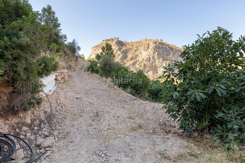 Foto d000dfdf-2182-4946-ba91-37b41ea6a01c. Finca rústica paraiso tropical en velez de benaudalla en Vélez de Benaudalla