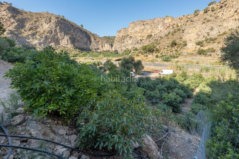 Foto f169c410-d227-40b8-a3a3-ec144aac5b4b. Finca rústica paraiso tropical en velez de benaudalla en Vélez de Benaudalla