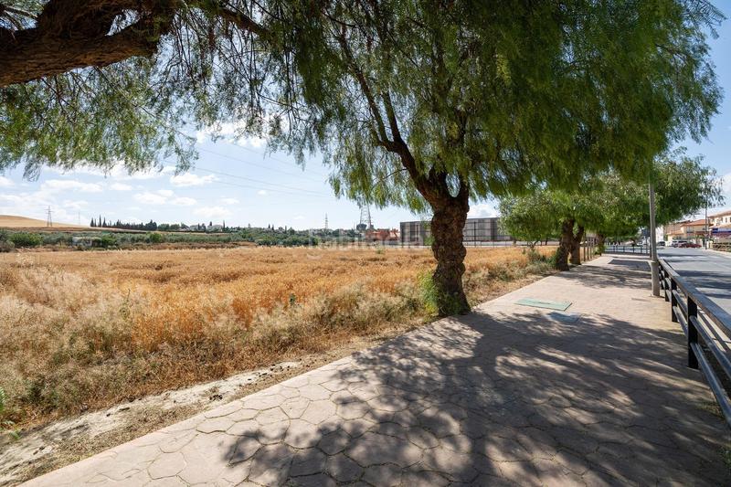 Foto 02766759-c856-4f7b-ba2f-4dd2b409ddda. Terreno residencial parcela de 5000 metros junto al mercadona de hijar en Gabias (Las)