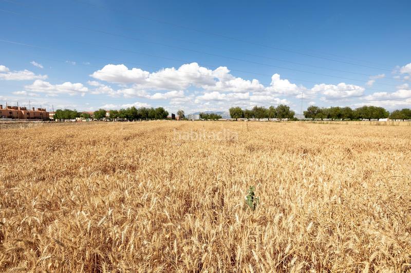 Foto 15807f23-d62e-4042-82ca-d35471051ecc. Terreno residencial parcela de 5000 metros junto al mercadona de hijar en Gabias (Las)