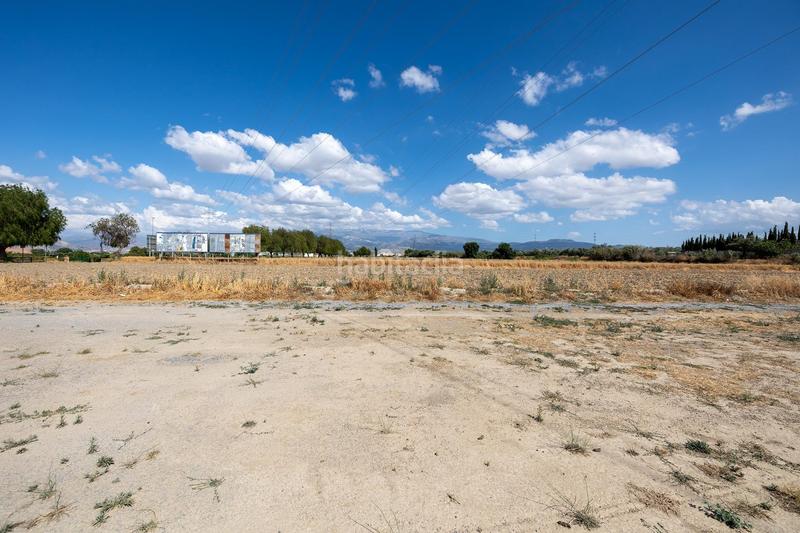 Foto 2972cf67-cbd0-4c9b-810e-449628dd8b15. Terreno residencial parcela de 5000 metros junto al mercadona de hijar en Gabias (Las)