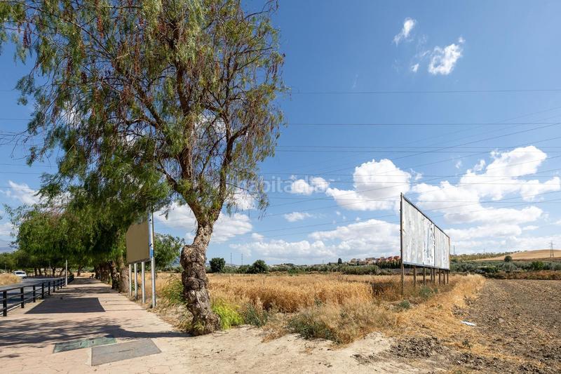 Foto 38921113-4170-4383-a50a-6057abb8405b. Terreno residencial parcela de 5000 metros junto al mercadona de hijar en Gabias (Las)