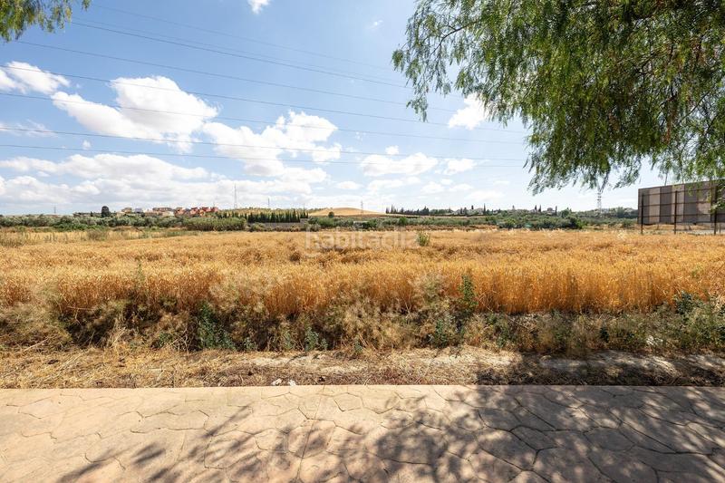 Foto 95e96f2d-fd11-4cfd-814c-2027a5be79d7. Terreno residencial parcela de 5000 metros junto al mercadona de hijar en Gabias (Las)
