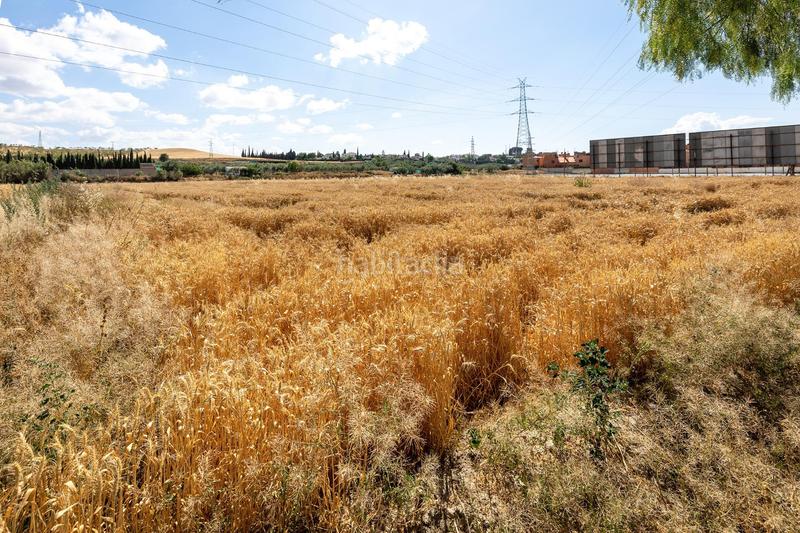 Foto bc09d726-5fdc-4cc3-ab05-8a5206d2d8c2. Terreno residencial parcela de 5000 metros junto al mercadona de hijar en Gabias (Las)
