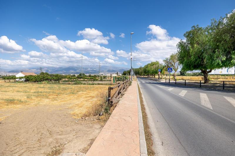 Foto d6e5cb06-f7a8-44a2-be6c-88317e00c174. Terreno residencial parcela de 5000 metros junto al mercadona de hijar en Gabias (Las)