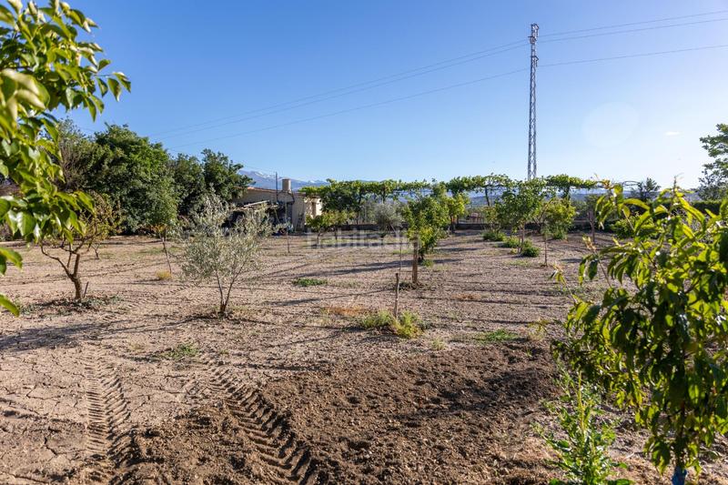 Foto 67caa459-443a-4746-a9d1-ebf03b673733. Casa en Guadix