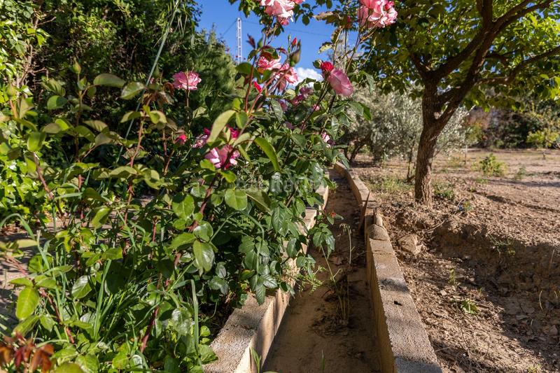 Foto b09c14b2-0161-470d-9d2f-8a18f82064ca. Casa en Guadix