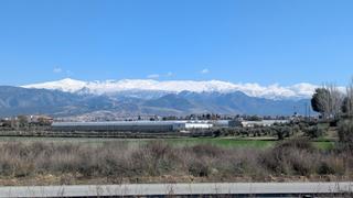 Terreno residencial en Calle de los alayos 14. Parcela urbana con increibles vistas a sierra nevada!! urb. pedr