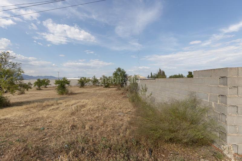 Foto 1edd3511-2771-42ba-b5d9-fb7126c80a91. Finca rústica en Moraleda de Zafayona