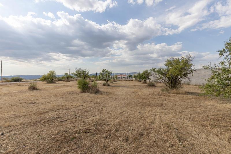 Foto 339dbfb3-e3a8-43dd-9390-0ccae4645562. Finca rústica en Moraleda de Zafayona