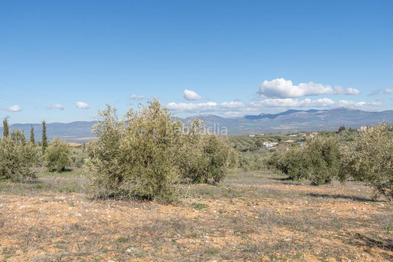 Foto ee777a0b-7829-4c9c-8db5-3464acf702c4. Rural plot in Cogollos de la Vega