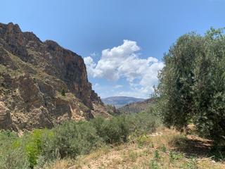 Propriété à Lanjarón. Finca rustica  lanjaron