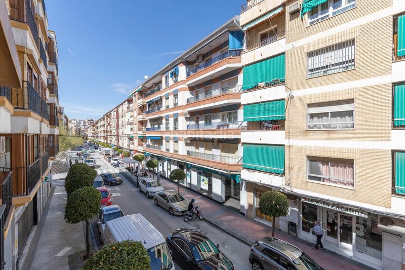 Foto 514463aa-6804-4d09-a49a-d6f7957a59a4. Pis a Loja