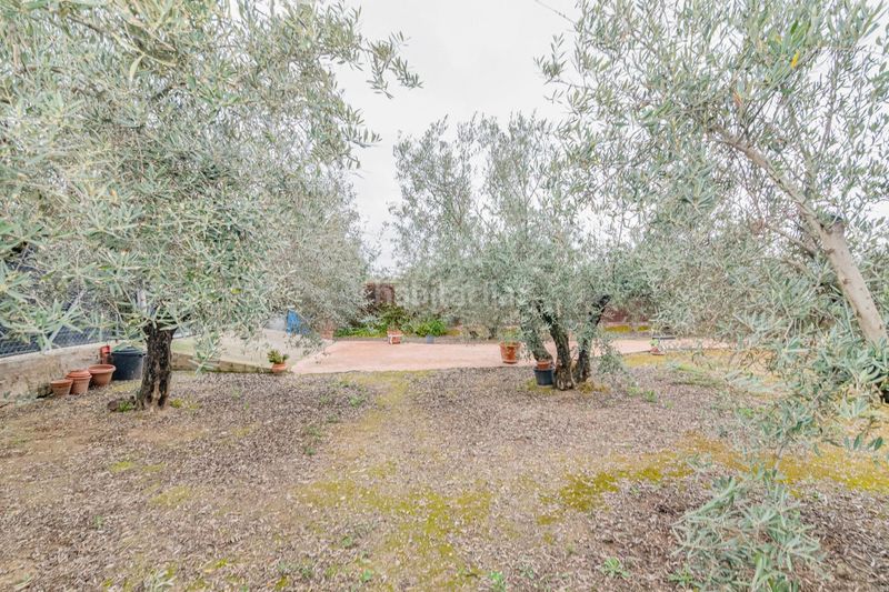 Foto fec0aed2-4a28-4f2e-b34d-80e8ba24110d. Finca rústica a Ogíjares