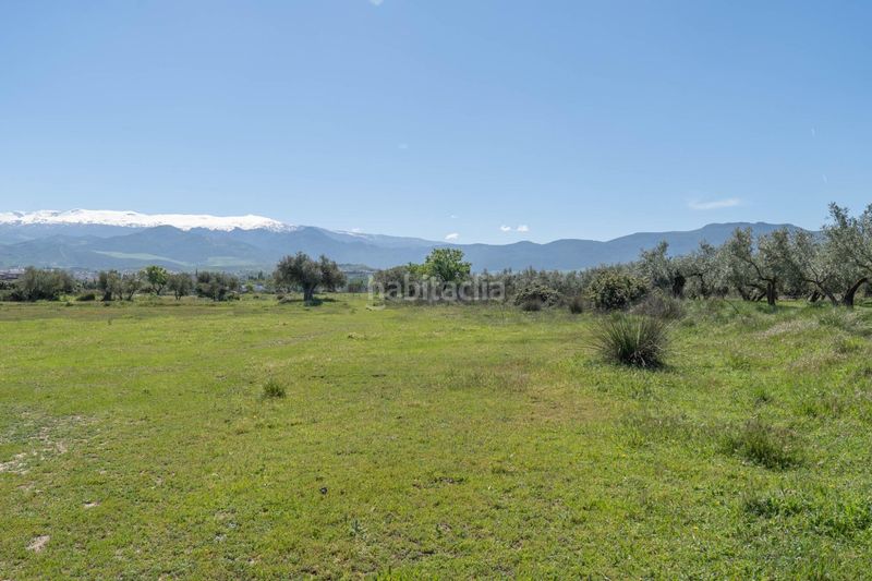 Foto 3827a79d-9cde-4079-a24f-a0c831eaf9c5. Finca rústica a Villa de Otura
