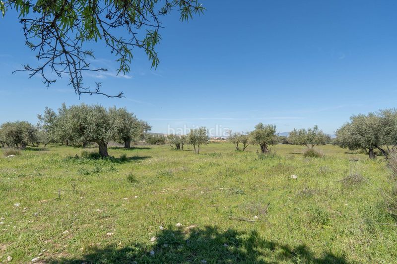 Foto 3d1f7bf2-fc19-41a2-ab3a-2aade645c040. Finca rústica a Villa de Otura
