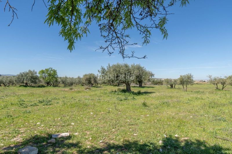 Foto 41c01d3f-f4c1-4adf-9876-a542594adb69. Finca rústica a Villa de Otura