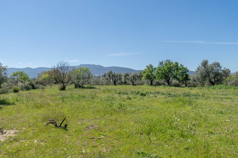 Foto 488cd1fa-3173-46f1-92db-c86c687d1beb. Finca rústica a Villa de Otura
