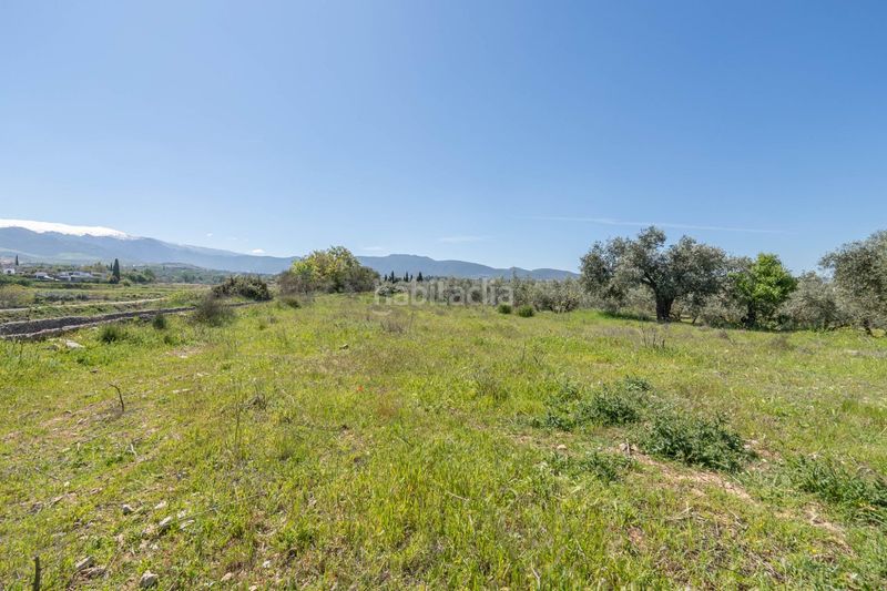 Foto b003d854-1cc8-431f-94e7-933fe1e4ad40. Finca rústica a Villa de Otura