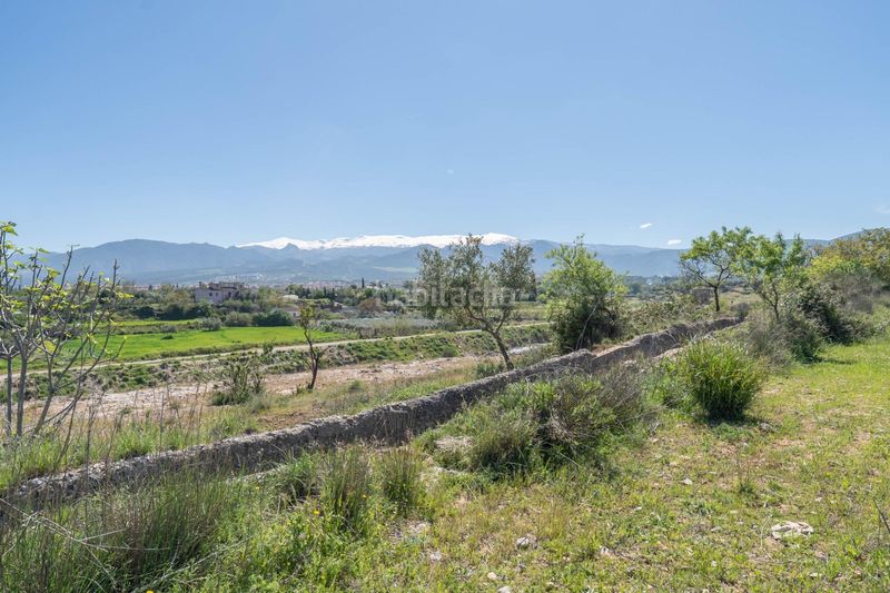 Foto df718ce3-d5a7-4063-ba21-ebbc552b446d. Finca rústica a Villa de Otura