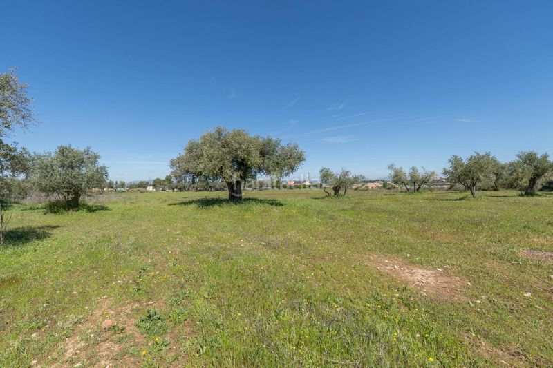 Foto fdb781f7-a288-4460-abe9-933a11a4d4a8. Finca rústica a Villa de Otura