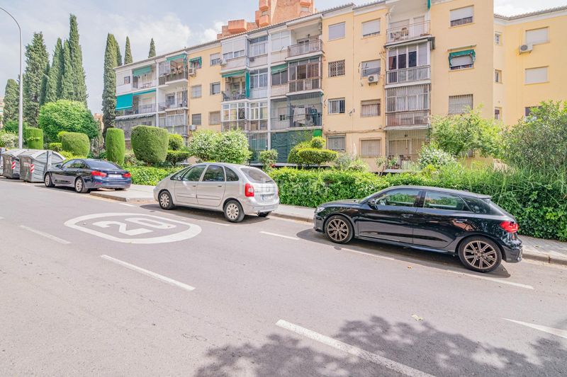 Foto 0ac373d3-5a13-4401-8168-868b9d76107f. Pis a Cartuja Granada