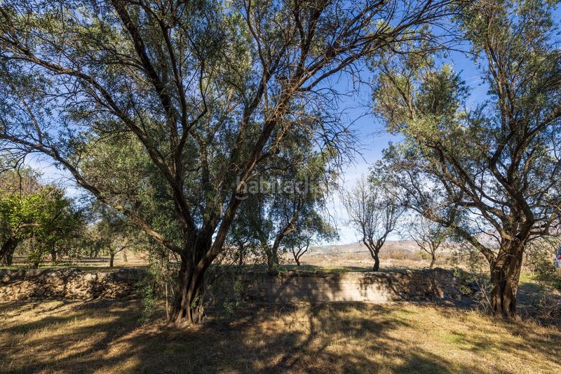 Foto 13f816ce-7f05-48e1-9e33-da3364a57b32. Finca rústica a Lecrín