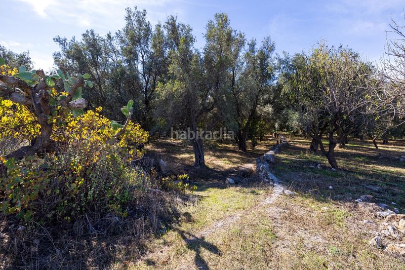 Foto a6d808e8-0241-4425-aab0-b26e127917e8. Finca rústica a Lecrín