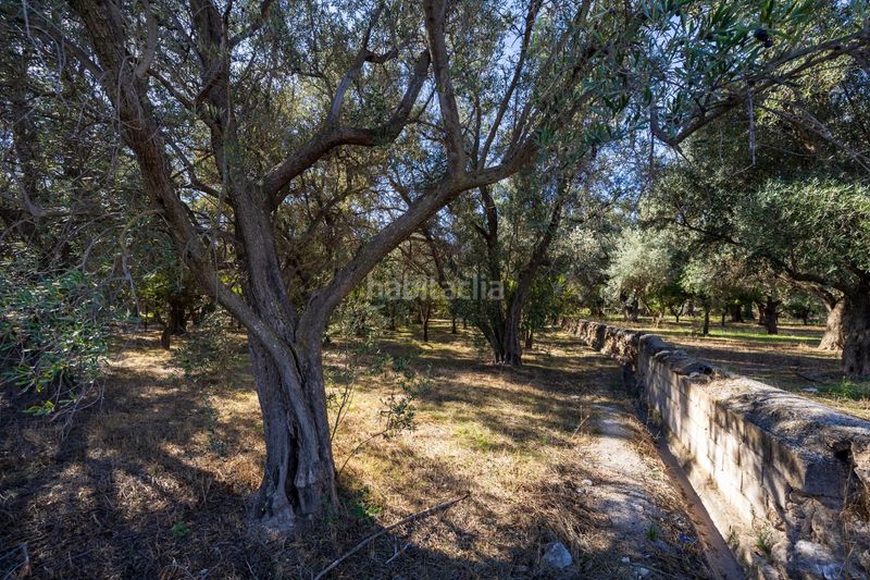 Foto ca33b011-1b9b-47d4-83c4-b94656ac528d. Finca rústica a Lecrín