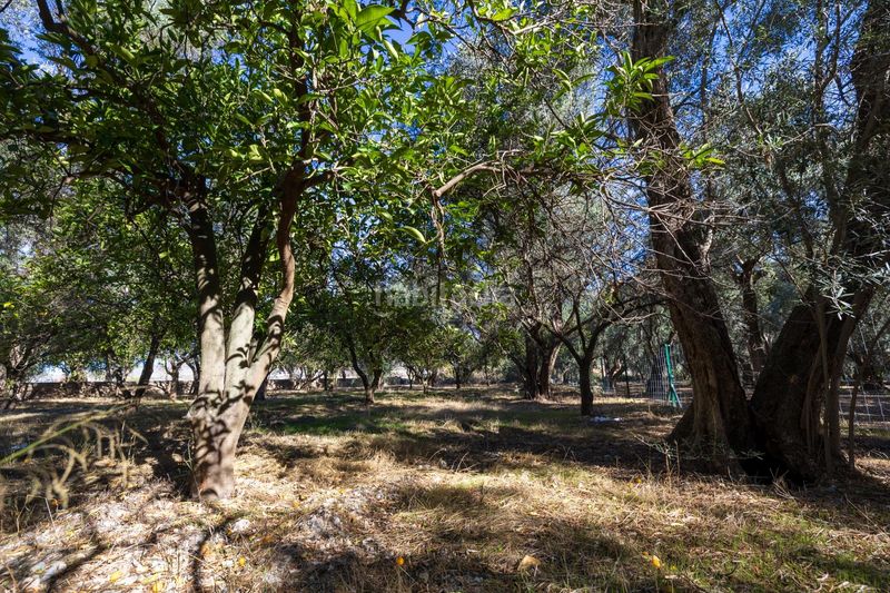 Foto f68a6b2f-5814-4798-bf93-652de75e9d3f. Finca rústica a Lecrín
