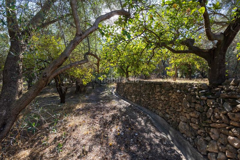 Foto f8dd5f86-d35c-488e-b4f4-5475f368e5e7. Finca rústica a Lecrín