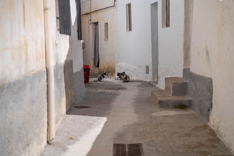 Foto d3821544-383b-4a0b-8049-89df1479e6de. Casa a Albuñuelas