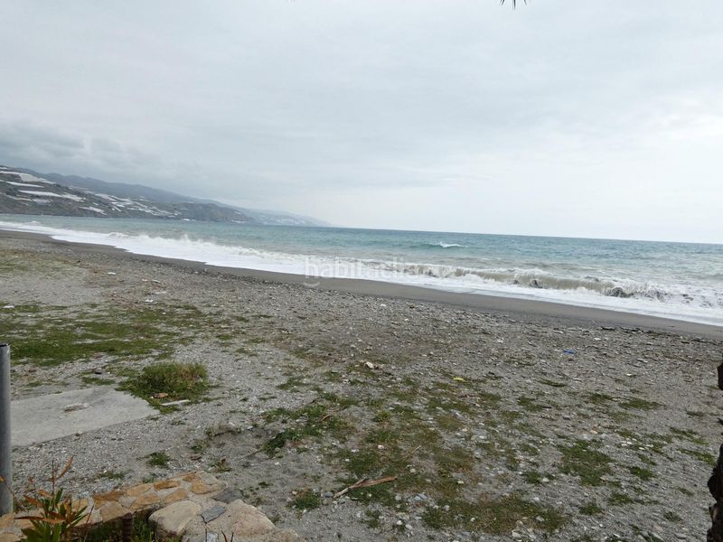 Foto 1cbd6c67-bf83-4ddf-92a9-ddbc51208d71. Pis a Castell de Ferro