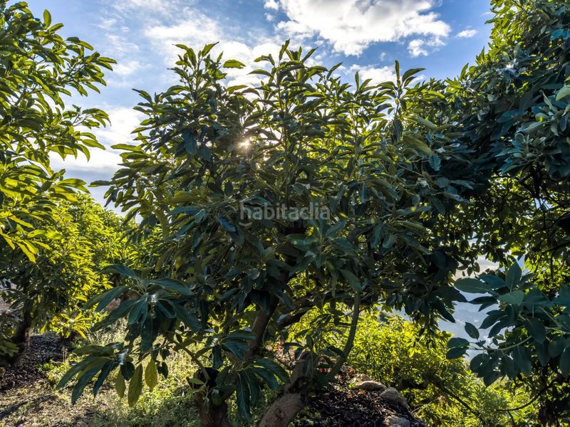 Foto c3245238-7592-4a74-af3a-436a7afe7d7b. Casale con parcheggio in Guájares (Los)