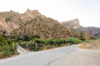 Finca rústica a Vélez de Benaudalla. Finca de aguacates en velez de benaudalla
