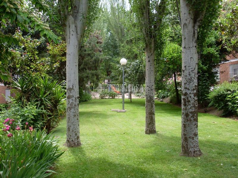 Foto 04708afb-b569-46d3-b0d4-fec63c6dae23. Piso  en venta en Mirasierra Madrid