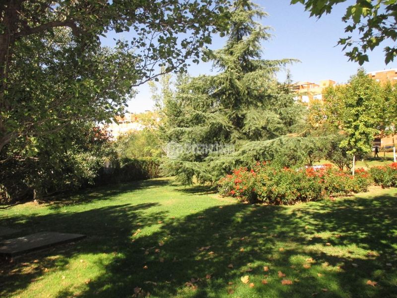 Foto 653d4b87-46b0-4dae-9c1e-d3822debf7ef. Lloguer pis amb calefacció piscina a Arroyo del Fresno Madrid