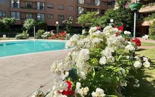 Pis a Arroyo del Fresno. Piso en venta en madrid